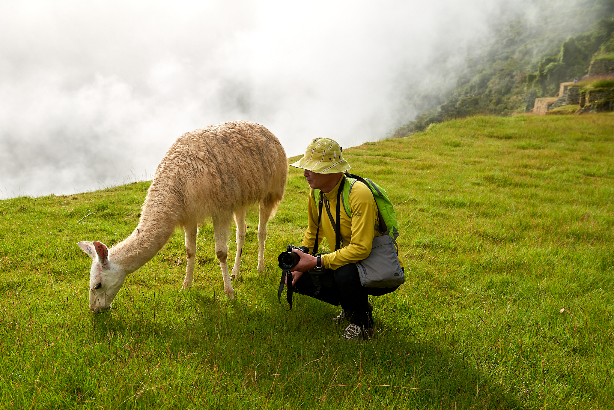 20200308 582 [페루] 마추픽추